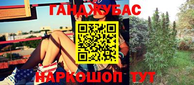 гидропоника Гусиноозёрск